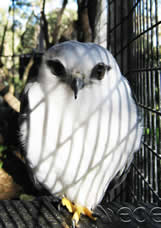 The Peninsula Qatar content image