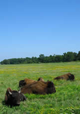 The Peninsula Qatar content image